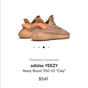 adidas YEEZY Yeezy Boost 350 V2 "Clay"
